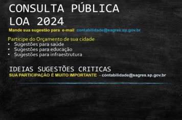 CONSULTA PÚBLICA - LOA 2024