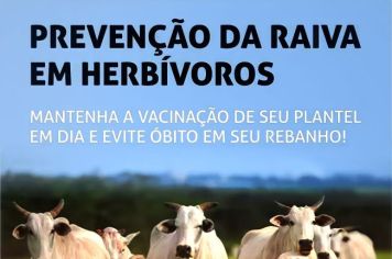 Prevenção da Raiva em Herbívoros