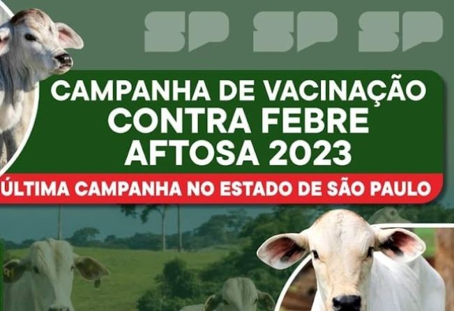 Última Campanha de Vacinação contra a Febre Aftosa do ano de 2023