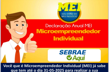 Declaração Anual MEI