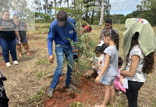 Departamento de Meio Ambiente realiza plantio em Área Verde.